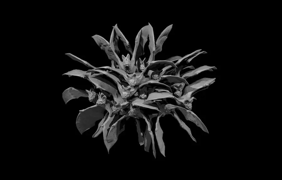 Swarm of Bats – Image 2