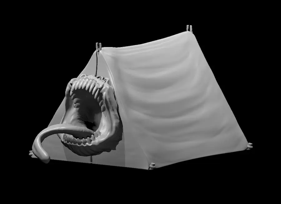 Tent Mimic – Image 2