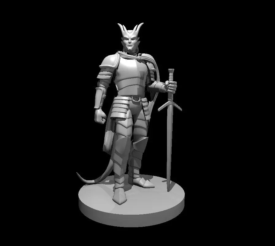 Tiefling Paladin – Image 4