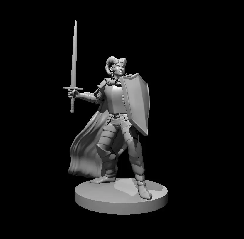 Tiefling Paladin – Image 5