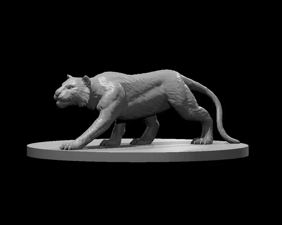 Tiger – Image 2