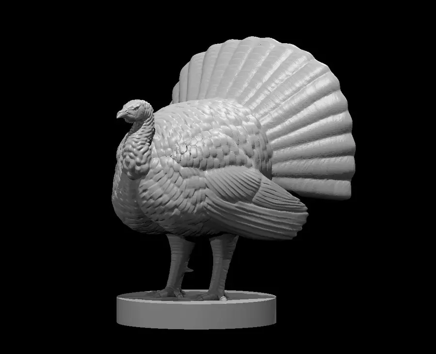 Turkey – Image 2