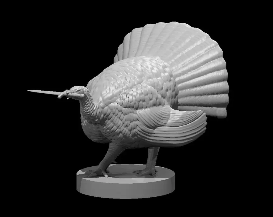 Turkey – Image 3