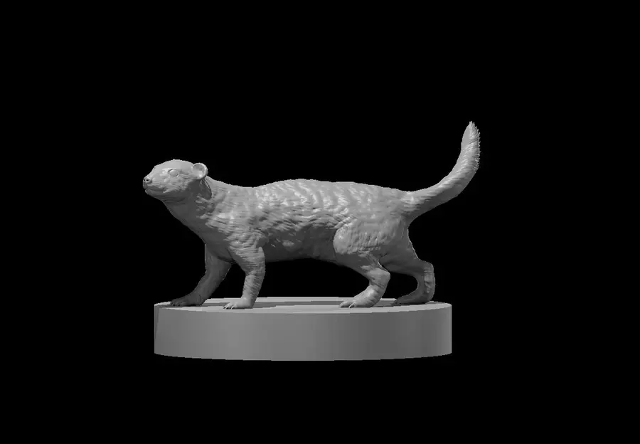 Weasel – Image 2